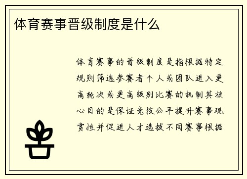 体育赛事晋级制度是什么